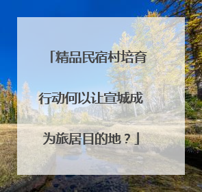 精品民宿村培育行动何以让宣城成为旅居目的地？