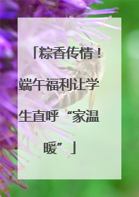 粽香传情！端午福利让学生直呼“家温暖”