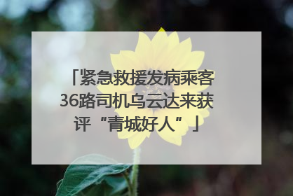 紧急救援发病乘客 36路司机乌云达来获评“青城好人”