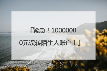 紧急！10000000元误转陌生人账户！