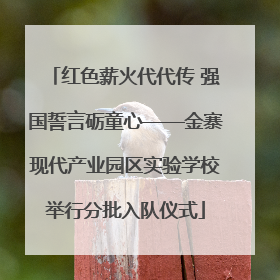 红色薪火代代传 强国誓言砺童心——金寨现代产业园区实验学校举行分批入队仪式