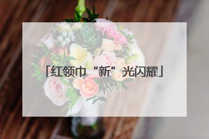 红领巾“新”光闪耀