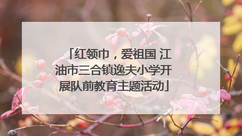 红领巾，爱祖国 江油市三合镇逸夫小学开展队前教育主题活动