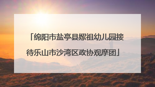 绵阳市盐亭县嫘祖幼儿园接待乐山市沙湾区政协观摩团