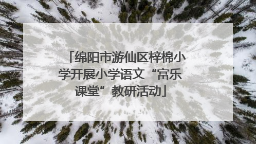 绵阳市游仙区梓棉小学开展小学语文“富乐课堂”教研活动