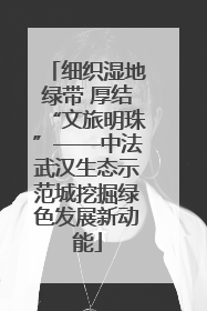 细织湿地绿带 厚结“文旅明珠”——中法武汉生态示范城挖掘绿色发展新动能
