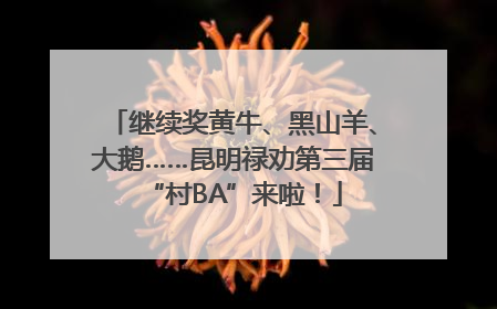 继续奖黄牛、黑山羊、大鹅……昆明禄劝第三届“村BA”来啦！