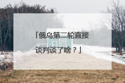 俄乌第二轮直接谈判谈了啥？