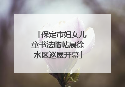 保定市妇女儿童书法临帖展徐水区巡展开幕