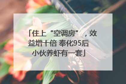 住上“空调房”，效益增十倍 奉化95后小伙养虾有一套