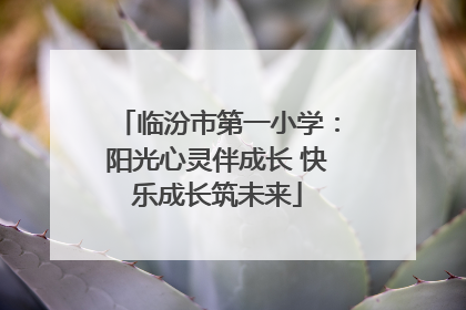 临汾市第一小学：阳光心灵伴成长 快乐成长筑未来