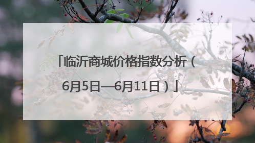 临沂商城价格指数分析（6月5日—6月11日）
