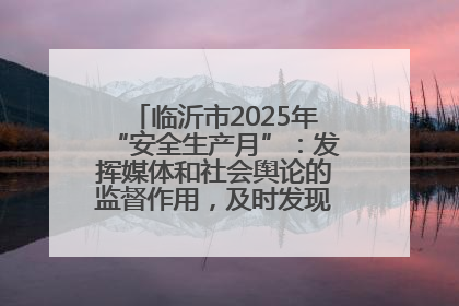 临沂市2025年“安全生产月”：发挥媒体和社会舆论的监督作用，及时发现并消除安全隐患