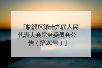临淄区第十九届人民代表大会常务委员会公告（第20号）