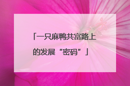 一只麻鸭共富路上的发展“密码”