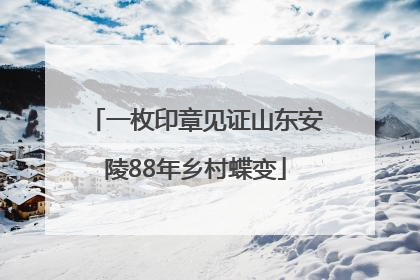 一枚印章见证山东安陵88年乡村蝶变