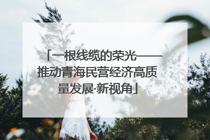 一根线缆的荣光——推动青海民营经济高质量发展·新视角