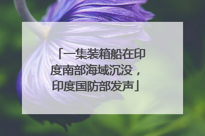 一集装箱船在印度南部海域沉没，印度国防部发声