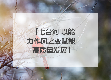 七台河 以能力作风之变赋能高质量发展