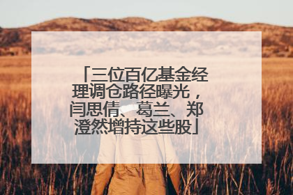 三位百亿基金经理调仓路径曝光，闫思倩、葛兰、郑澄然增持这些股