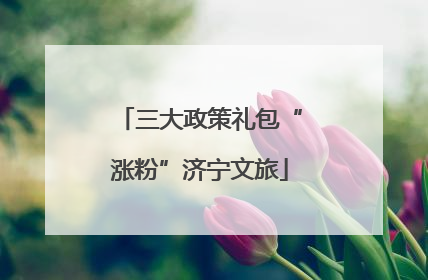 三大政策礼包“涨粉”济宁文旅