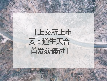 上交所上市委：道生天合首发获通过
