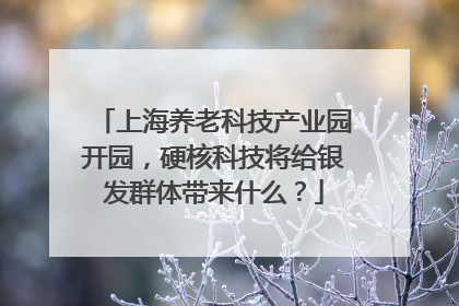 上海养老科技产业园开园，硬核科技将给银发群体带来什么？
