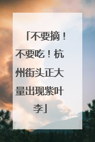 不要摘！不要吃！杭州街头正大量出现紫叶李