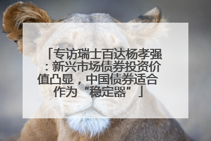 专访瑞士百达杨孝强：新兴市场债券投资价值凸显，中国债券适合作为“稳定器”