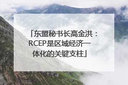 东盟秘书长高金洪：RCEP是区域经济一体化的关键支柱