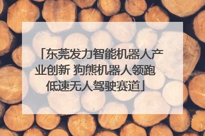 东莞发力智能机器人产业创新 狗熊机器人领跑低速无人驾驶赛道