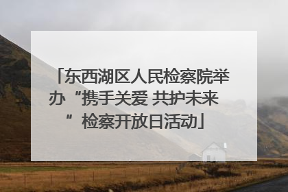 东西湖区人民检察院举办“携手关爱 共护未来”检察开放日活动