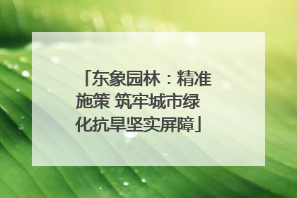 东象园林：精准施策 筑牢城市绿化抗旱坚实屏障