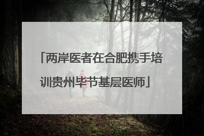 两岸医者在合肥携手培训贵州毕节基层医师