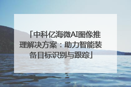 中科亿海微AI图像推理解决方案：助力智能装备目标识别与跟踪
