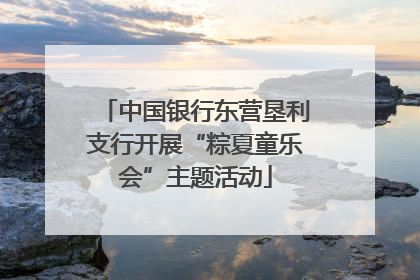 中国银行东营垦利支行开展“粽夏童乐会”主题活动