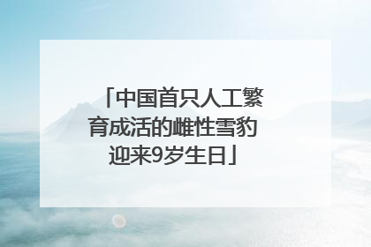中国首只人工繁育成活的雌性雪豹迎来9岁生日
