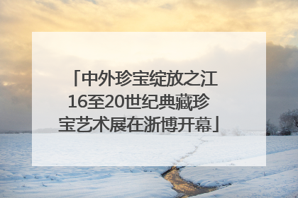 中外珍宝绽放之江 16至20世纪典藏珍宝艺术展在浙博开幕