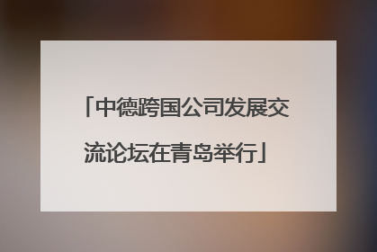 中德跨国公司发展交流论坛在青岛举行