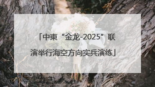 中柬“金龙-2025”联演举行海空方向实兵演练