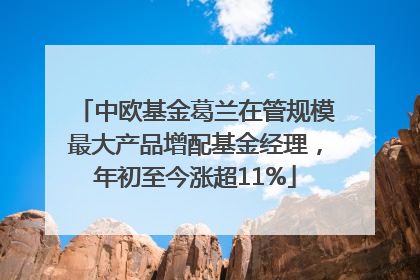 中欧基金葛兰在管规模最大产品增配基金经理，年初至今涨超11%