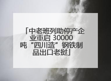 中老班列助停产企业重启 30000吨“四川造”钢铁制品出口老挝