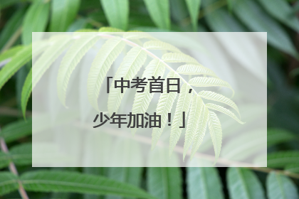 中考首日，少年加油！