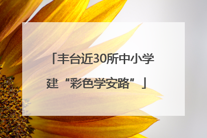丰台近30所中小学建“彩色学安路”