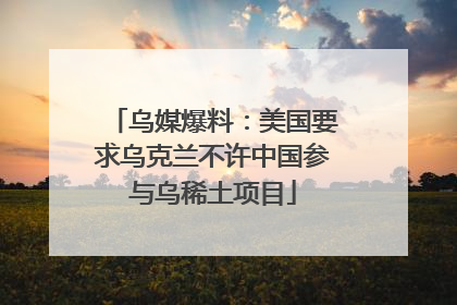 乌媒爆料：美国要求乌克兰不许中国参与乌稀土项目