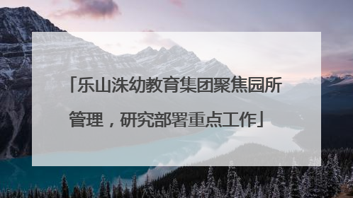 乐山洙幼教育集团聚焦园所管理，研究部署重点工作