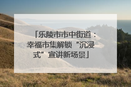 乐陵市市中街道：幸福市集解锁“沉浸式”宣讲新场景