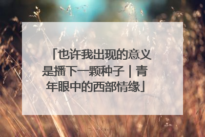 也许我出现的意义是播下一颗种子｜青年眼中的西部情缘