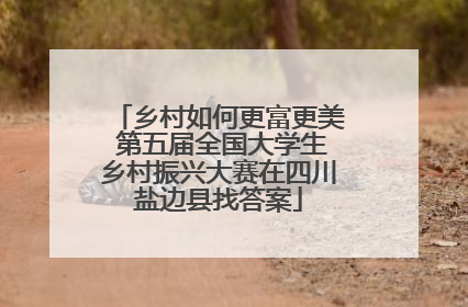 乡村如何更富更美 第五届全国大学生乡村振兴大赛在四川盐边县找答案