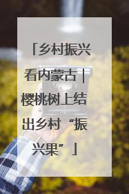 乡村振兴看内蒙古｜樱桃树上结出乡村“振兴果”